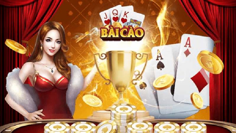 Luật quy định đối với các thành viên tham gia bài cào