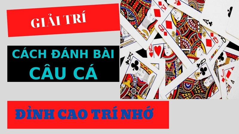 bai cau ca Nắm rõ một số thông tin trước khi trải nghiệm